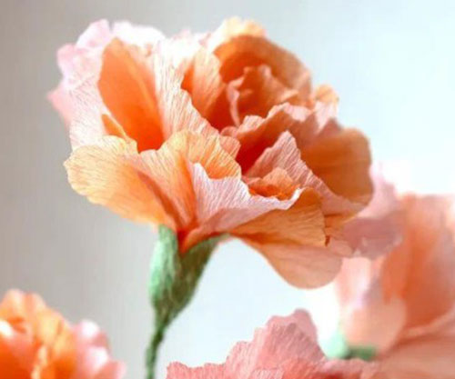 tallers_fg26_flors_paper