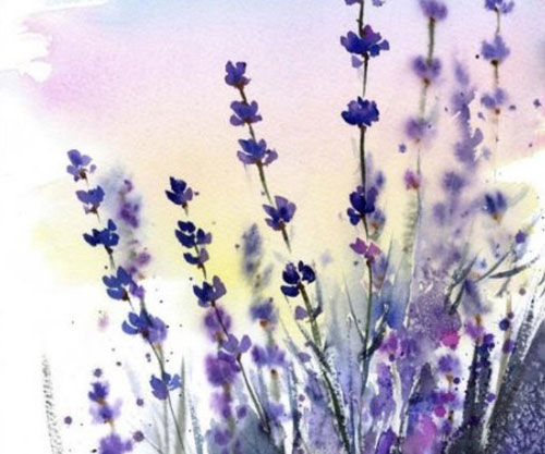 tallers_fg26_iniciació_aquarela